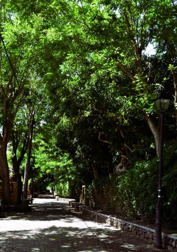 paseo_de_las_acacias_Guamasa