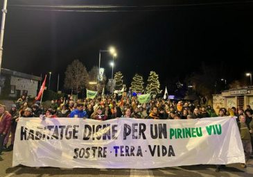 Cientos de personas se manifiestan en la Seu d'Urgell por una vivienda digna