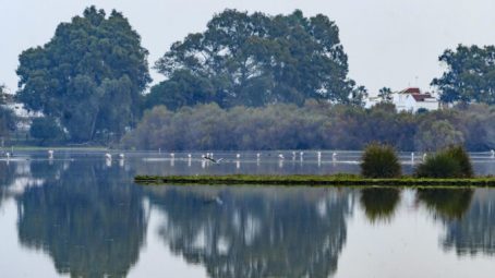 El cambio climático podría provocar la inundación con agua salobre de las marismas en Doñana