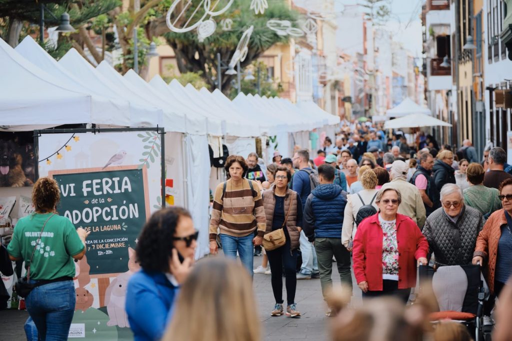 Feria Adopción 4