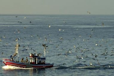 La flota del Mediterráneo amarra y se manifiesta dos días contra los recortes de la CE