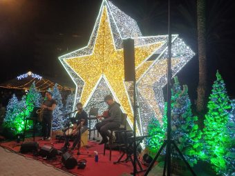 MERCADO NAVIDEÑO 02