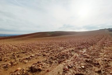 Reforestación y agricultura regenerativa, claves para reducir impacto de las inundaciones