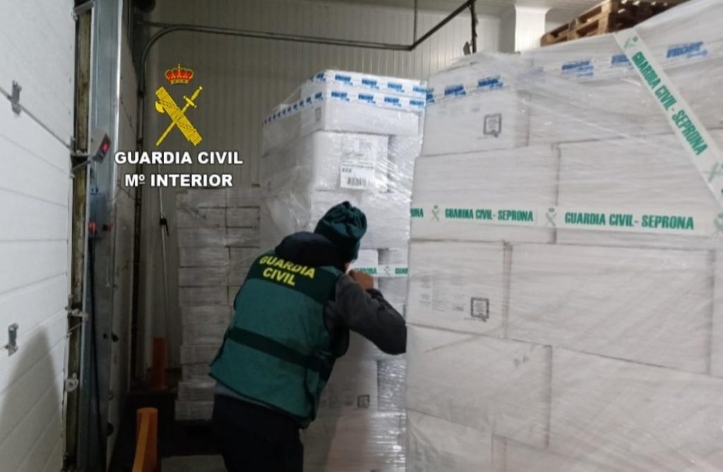 Trece investigados por tratar de vender 270 toneladas de congelados no aptos para consumo