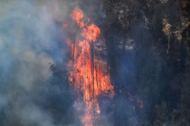 Aumenta a siete la cifra de muertos debido a los incendios que azotan a Los Ángeles