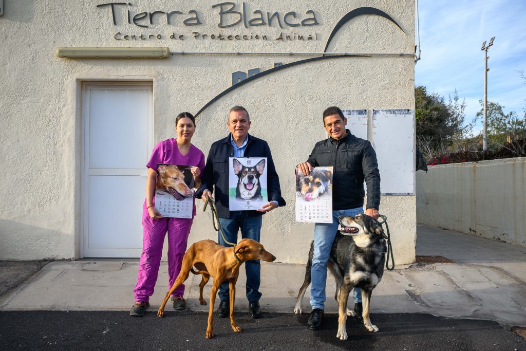 Campaña Bienestar Animal 1