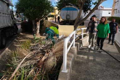 El Ayuntamiento continúa en Las Mesas con las actuaciones conjuntas entre Limpieza y Parques y Jardines 1