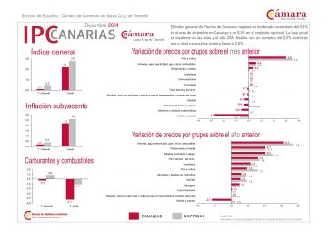 IPC_diciembre_2024_(sintesis)_page-0001