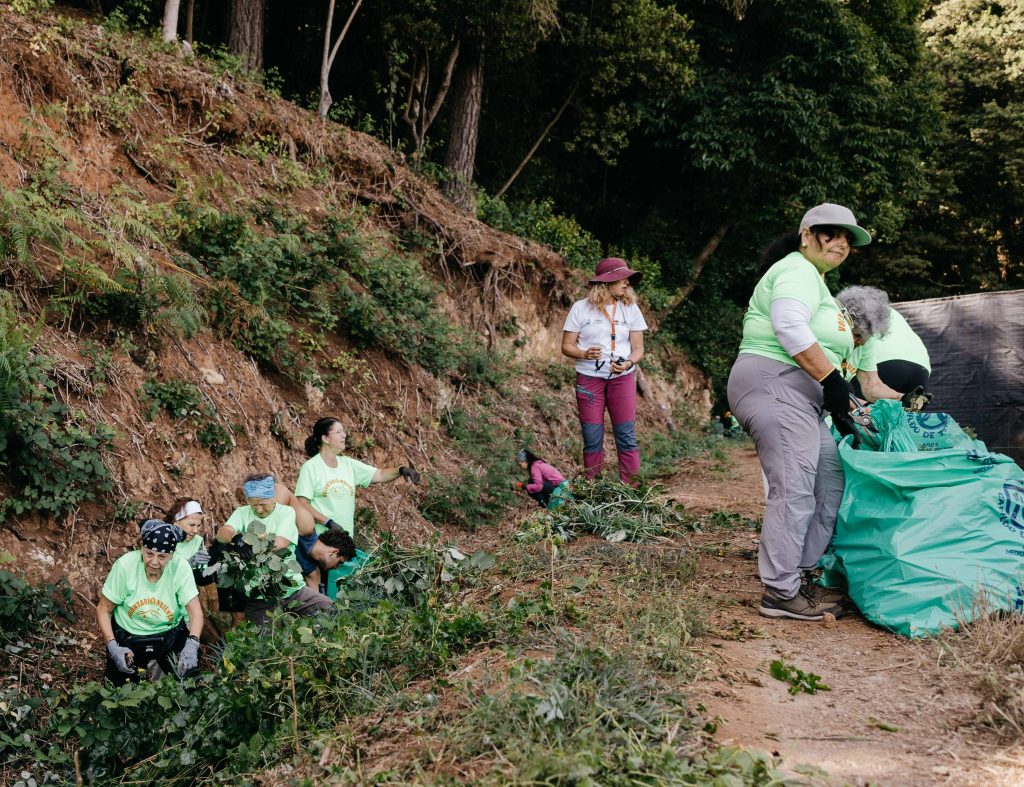 Medio Natural-Voluntariado Ambiental-Erradicación flora exótica Tacoronte