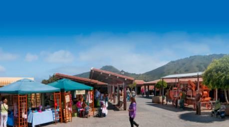 Mercadillo del Agricultor de Tegueste