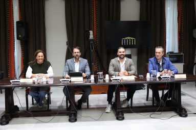 060225 El vicepresidente primero del Cabildo, Adasat Reyes, en la Comisión de Cabildos en el Parlamento de Canarias