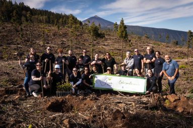 El Voluntariado de Fundación DISA ayuda a la reforestación de la zona del Mirador de La Bermeja