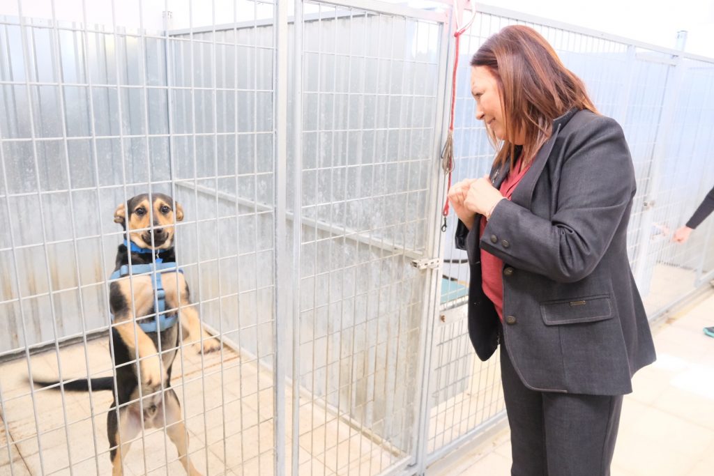 La concejala de Bienestar Social, Igualdad, Cuidados y Salud, Carmen Luz Vargas, en el Centro de Protección Animal Municipal