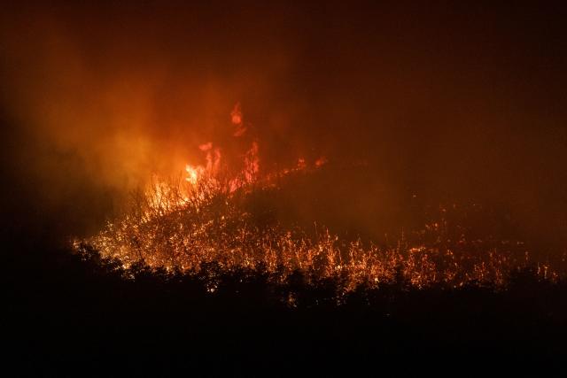 Los incendios forestales en el sur de Argentina arrasaron con casi 40.000 hectáreas