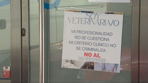 Los veterinarios aseguran que la norma sobre medicamentos pone en peligro la salud pública