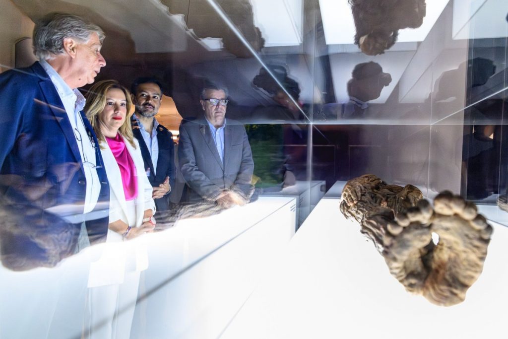 Visita de las autoridades del Cabildo de Tenerife a la réplica de la monia de Erques en el MUNA