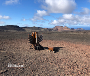 130325. NP. Los beneficios de la obtención de energía geotérmica a debate en el Parque Nacional de Timanfaya2