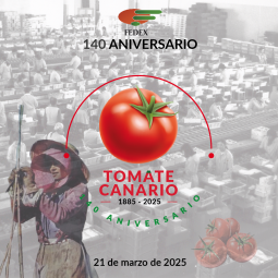 140 ANIVERSARIO TOMATE CANARIO