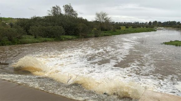 Ascienden a 223 las incidencias en Andalucía este lunes por el paso de la borrasca Jana