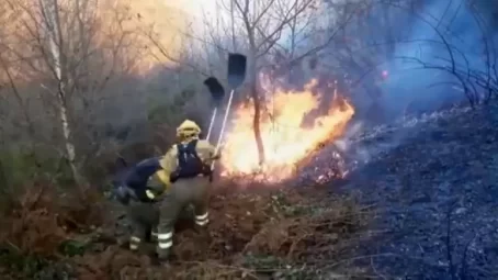 Asturias registra una veintena de incendios forestales en quince concejos