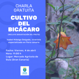 CARTEL CHARLA CULTIVO BICÁCARO