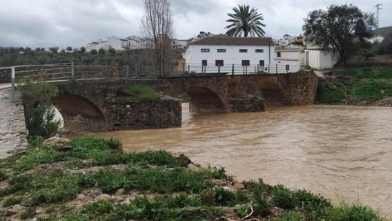 Desbordados los ríos Guadalhorce y Campanillas en Málaga por las intensas lluvias