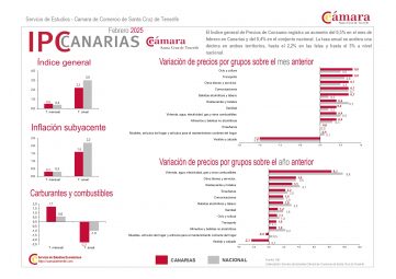 IPC_febrero_2025_(sintesis) (1)_page-0001