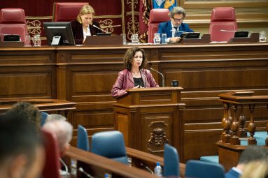 Matilde Asián hoy en el Parlamento