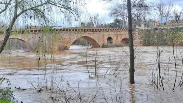 Nueve municipios de Guadalajara reciben avisos de Es-alert ante posibles inundaciones