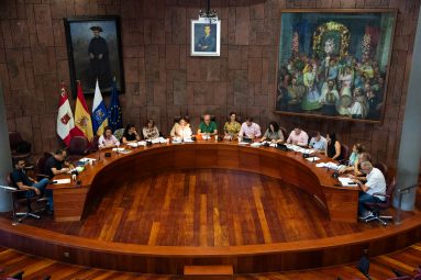 Pleno del Cabildo de La Gomera