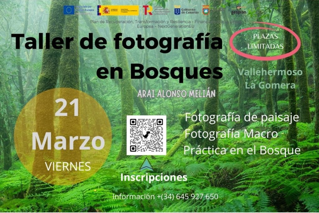 taller fotografía